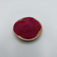 acai in polvere