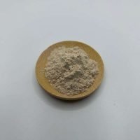 ashwagandha in polvere