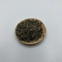 BASILICO