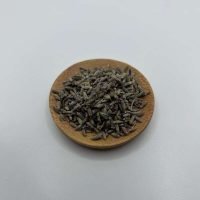 LAVANDA