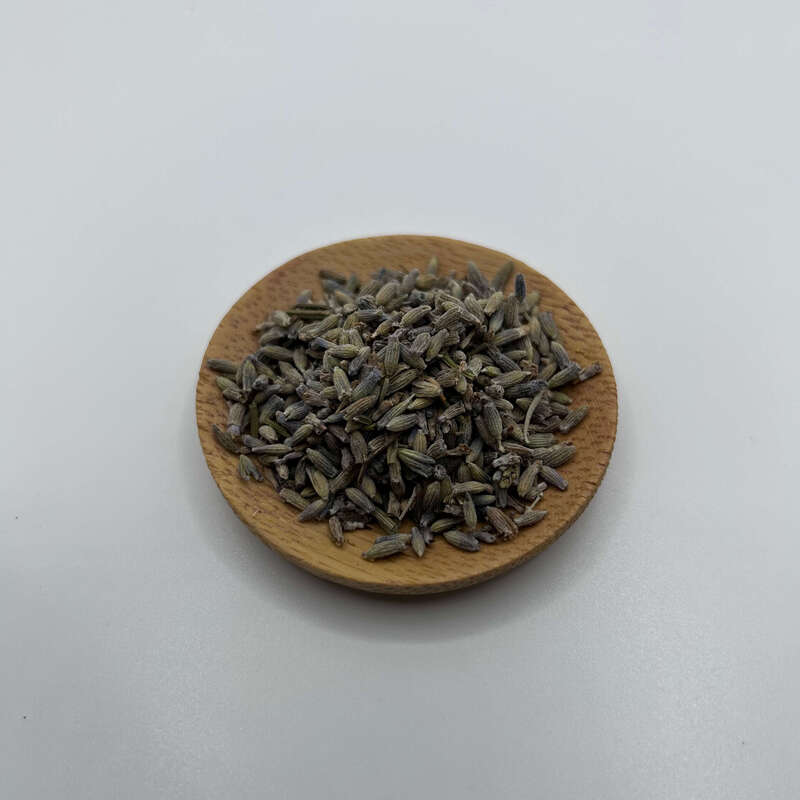 lavanda LAVANDA