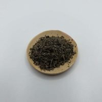 MENTA PIPERITA