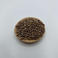 CORIANDOLO