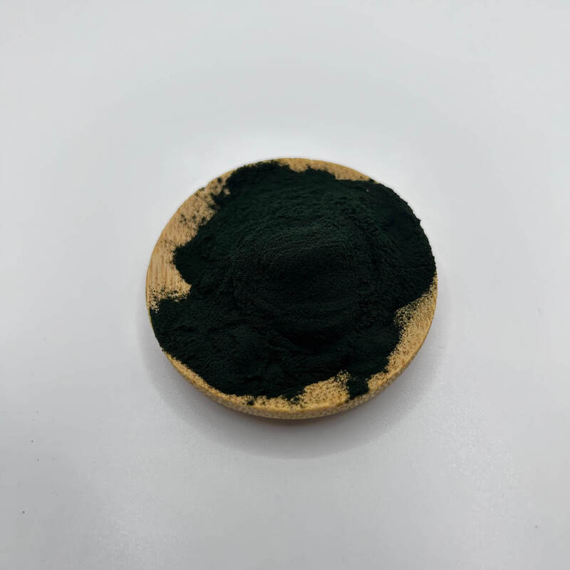 spirulina spirulina verde in polvere
