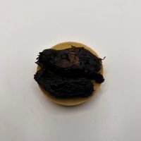 cipolla fermentata